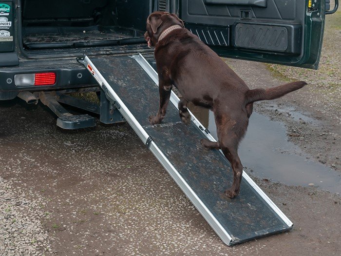 Dog Ramp – Britpart