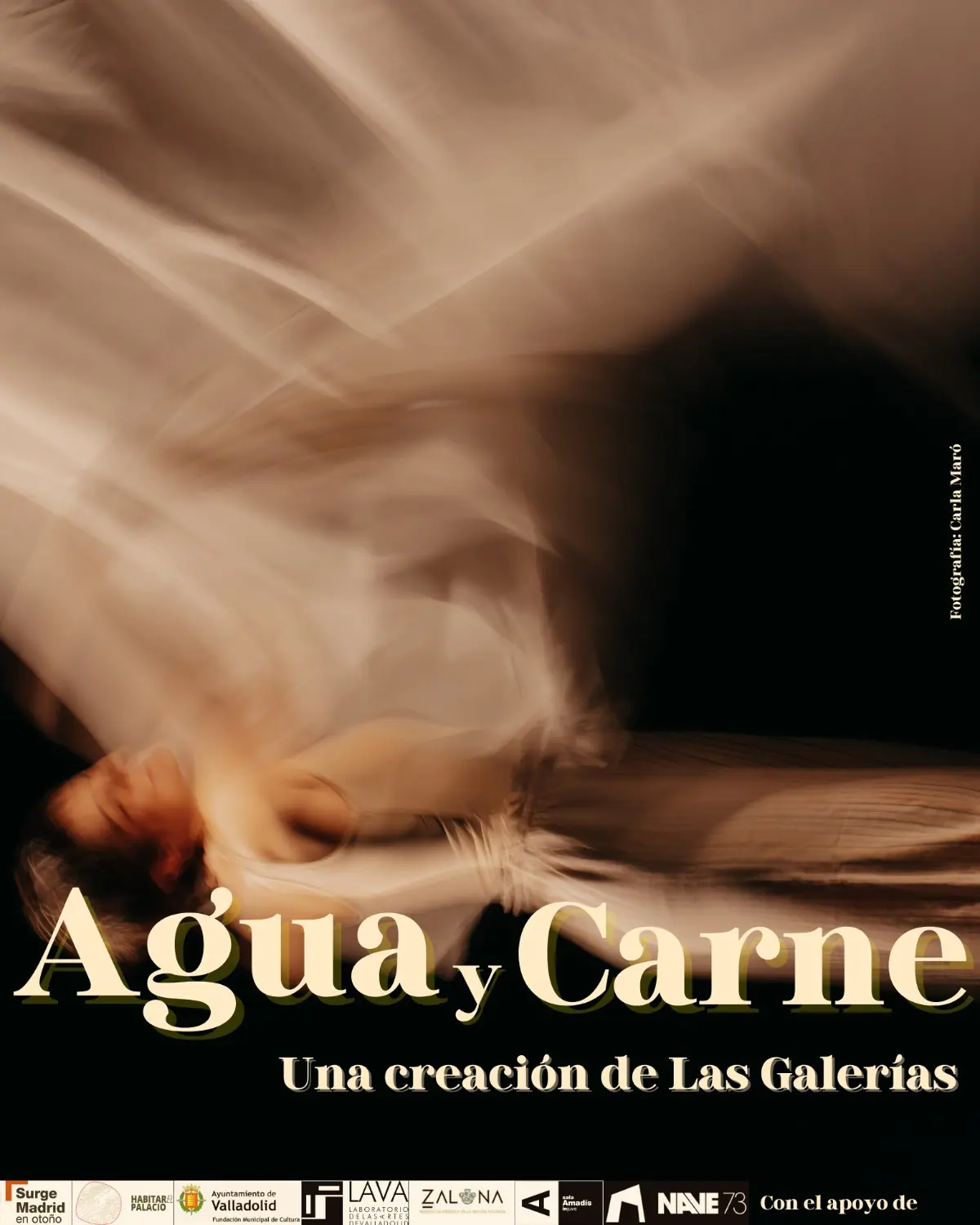 Cartel de Agua y Carne