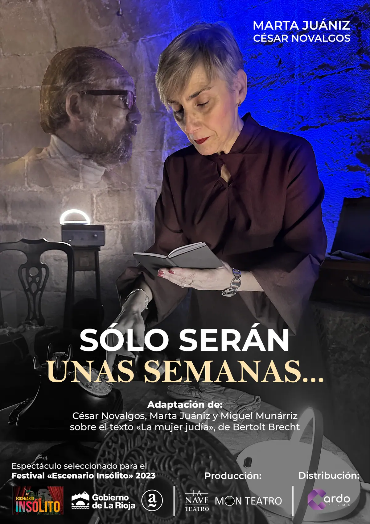 Cartel de Sólo serán unas semanas...