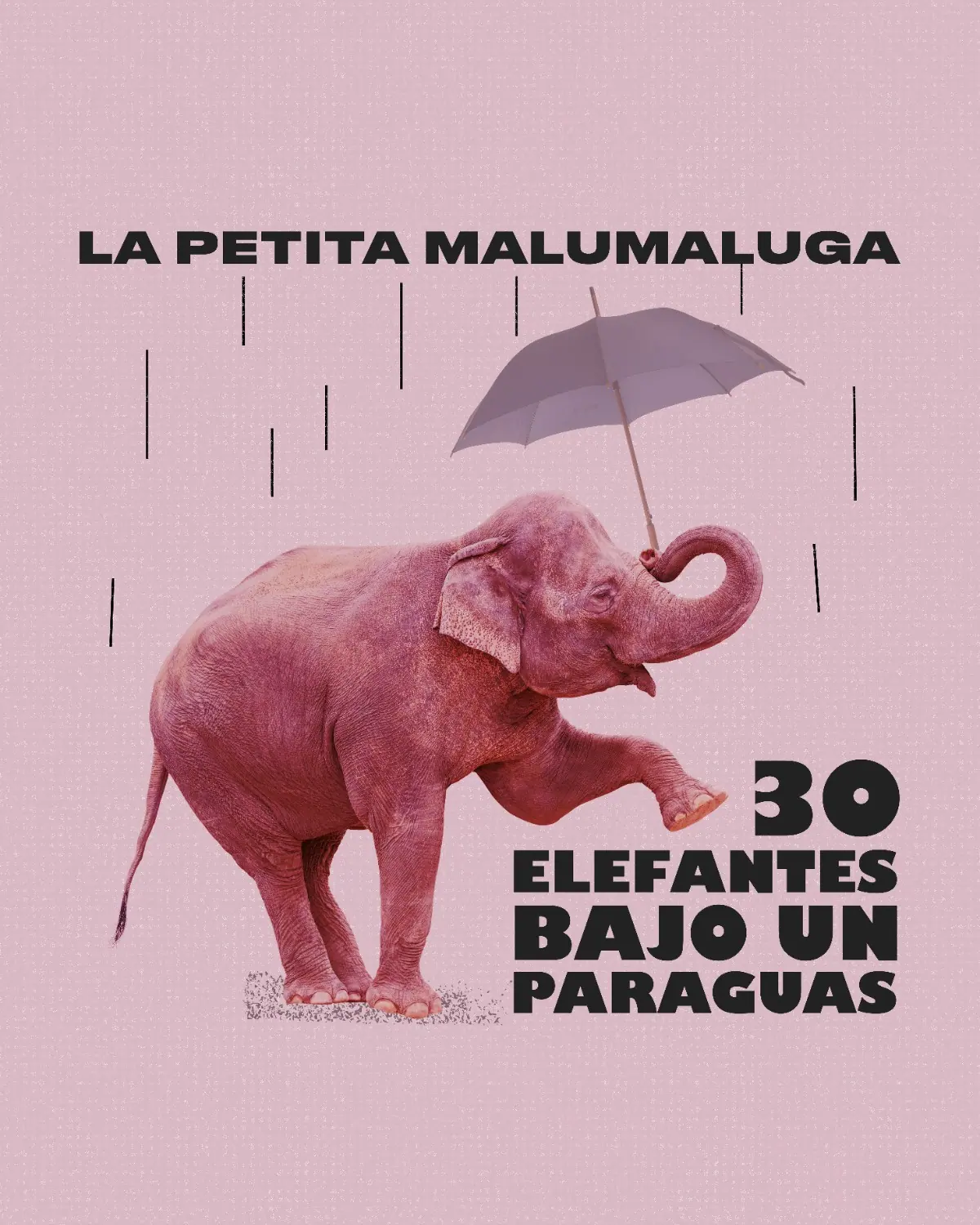 Cartel de 30 elefantes bajo un paraguas