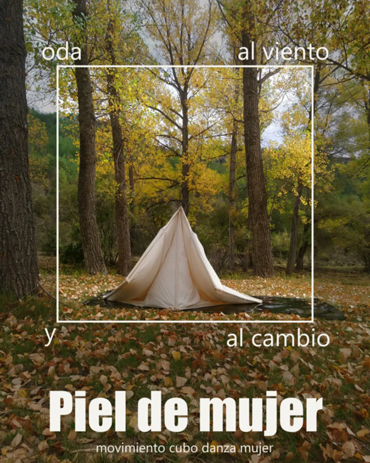 Cartel de Piel de mujer