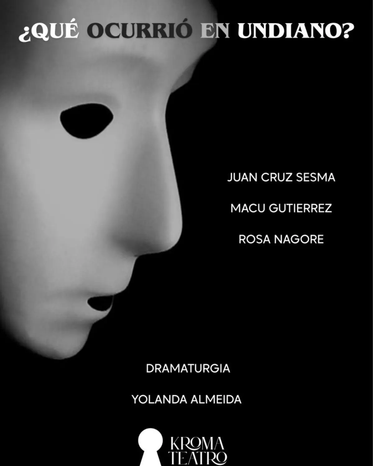 Cartel de ¿Qué ocurrió en Undiano?