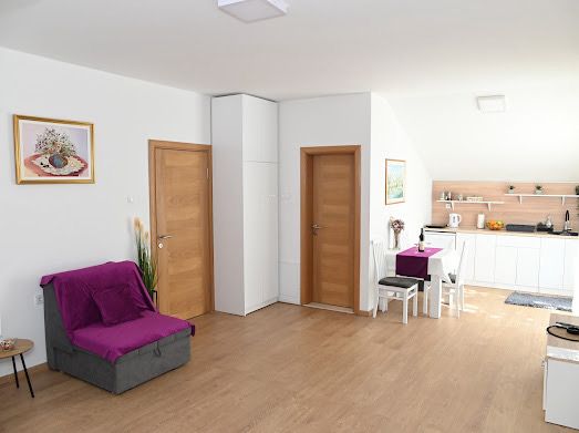 Studio Apartman Maslina - 2