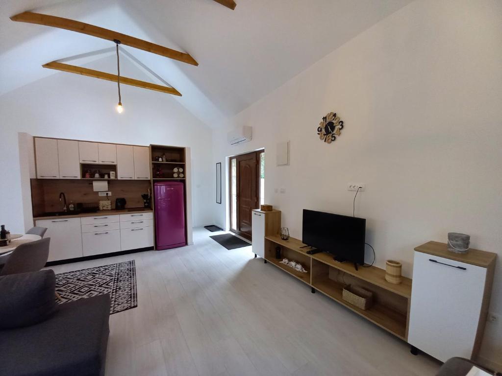 Vila Gazdinstvo Prcovic - 4