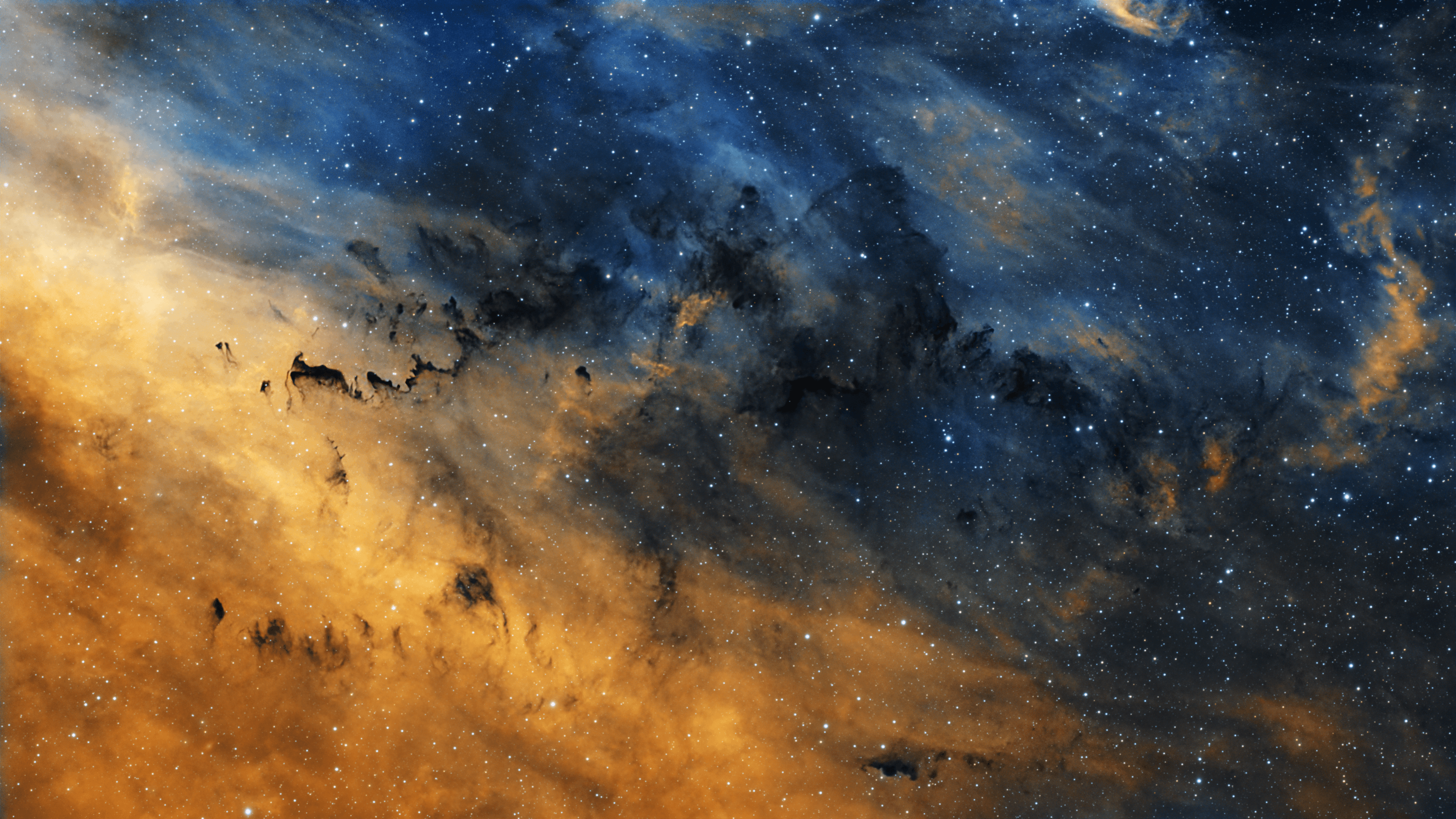 Capturing the Cosmos