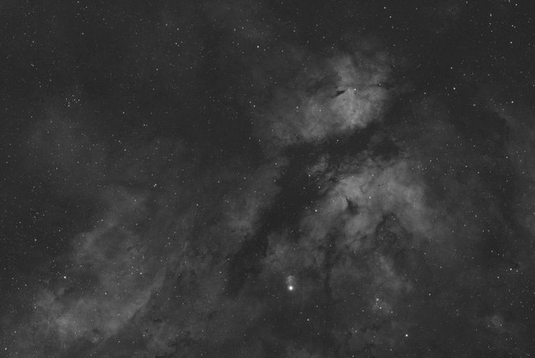 M 31