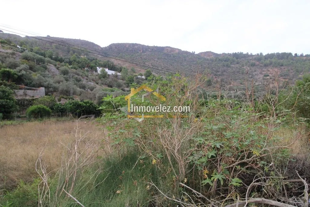 null en venta en Vélez de Benaudalla