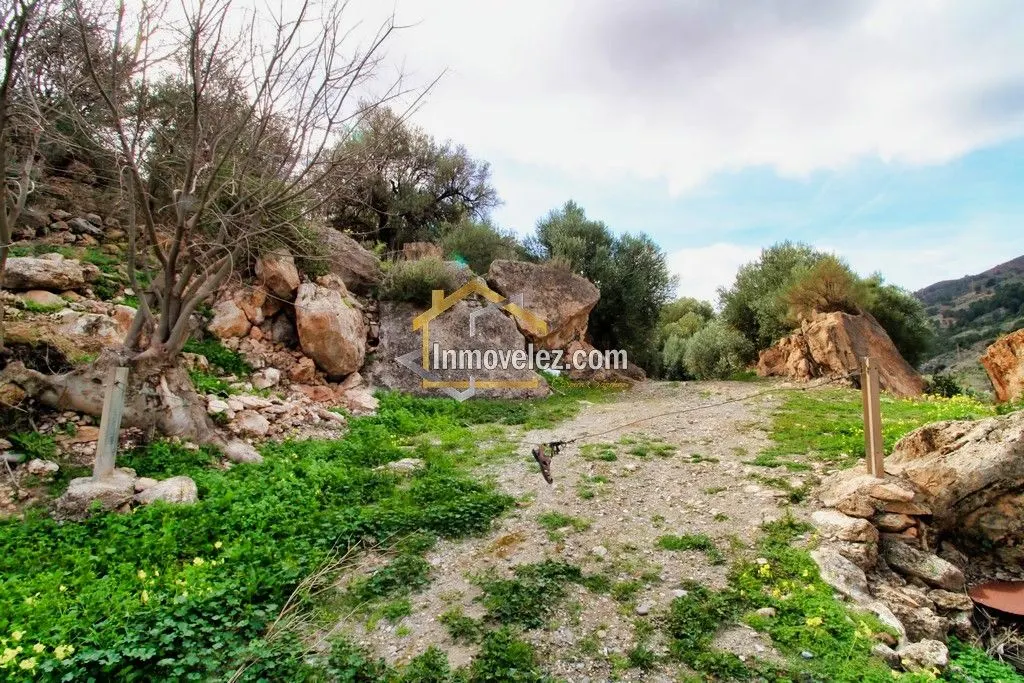 null en venta en Vélez de Benaudalla