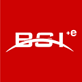 BSIE logo