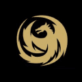 LFDS logo
