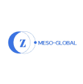 Meso-global logo