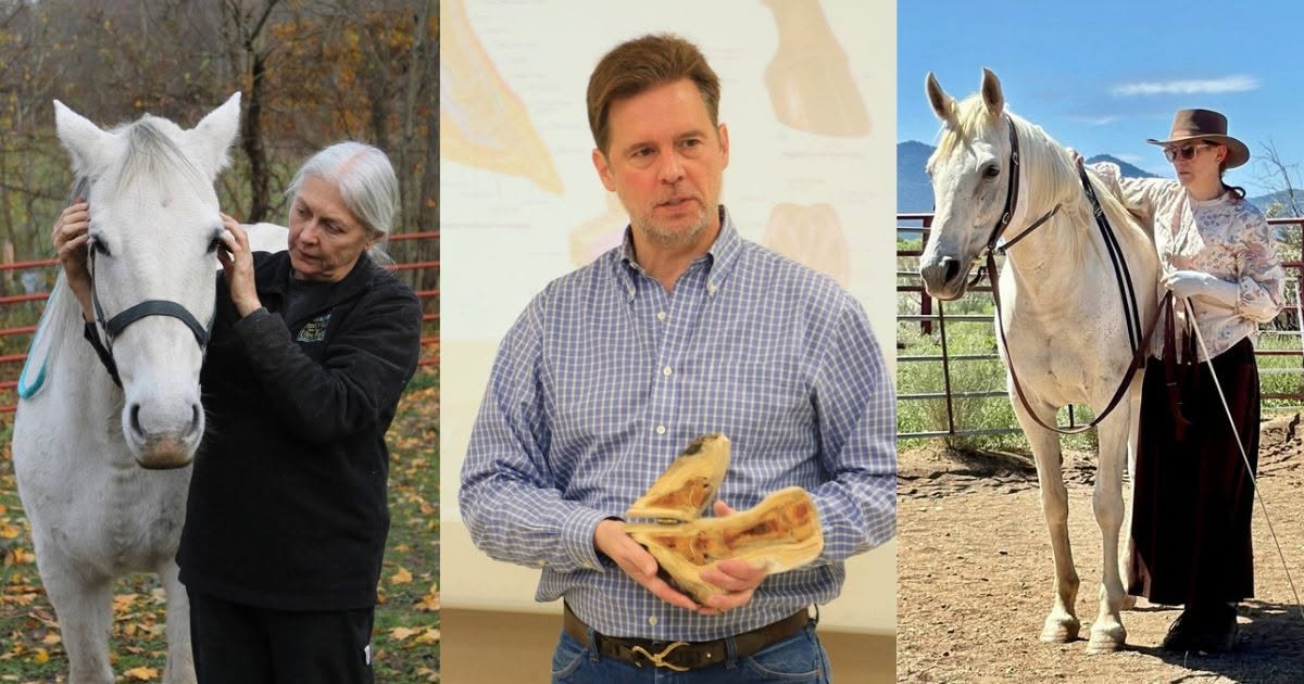 Equine Health Day 2026