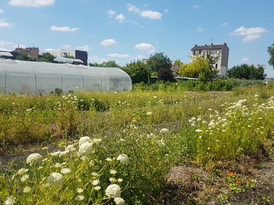 Interview Franck PONTHIER, ferme urbaine de Saint-Denis
