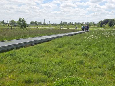 platelage caillebotis sur le terrain des Essences à La courneuve