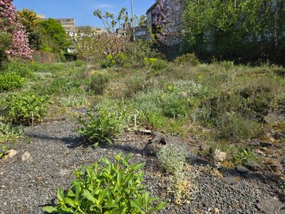 Jardin Joyeux à Aubervilliers à côté de la Maladrerie