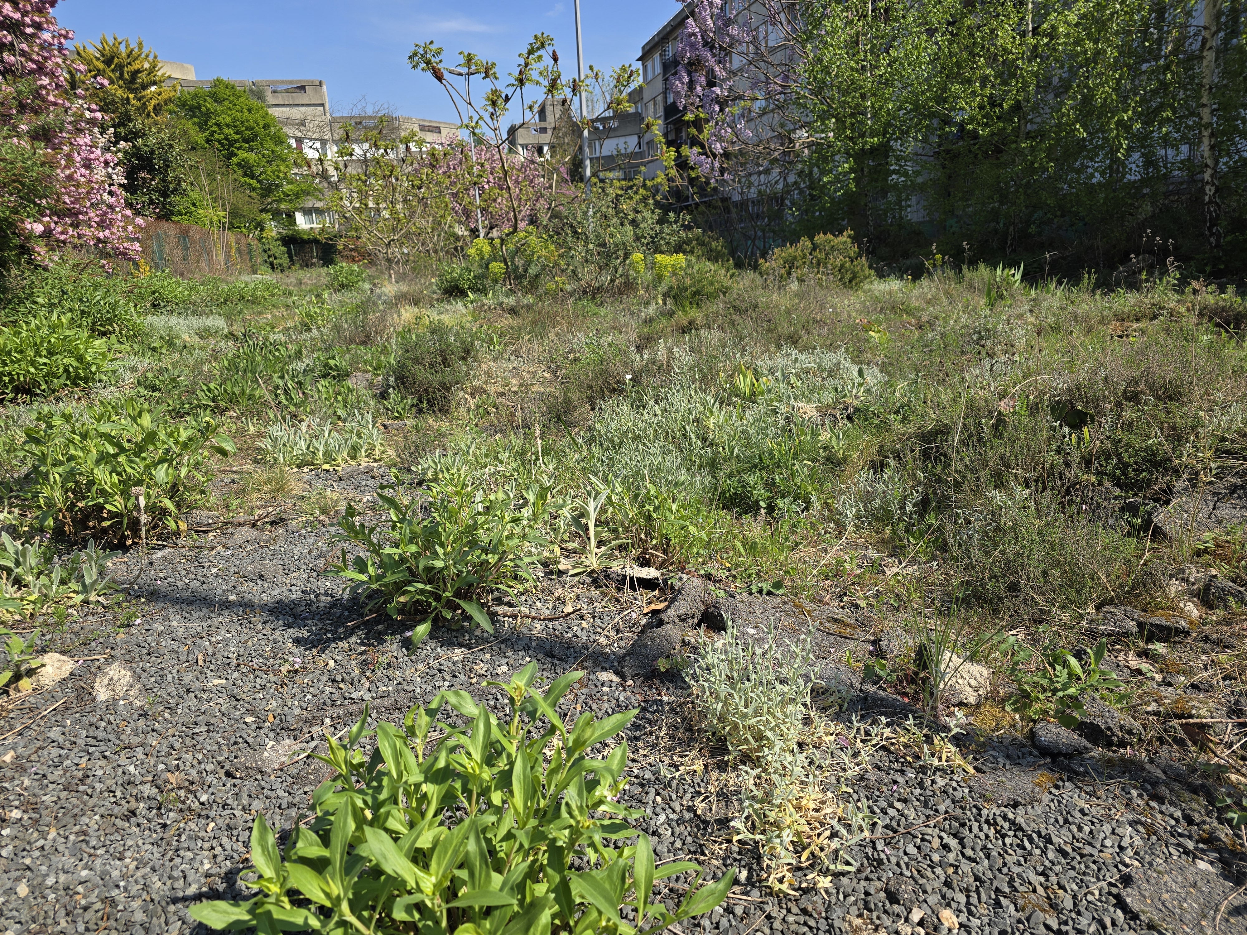 Jardin Joyeux à Aubervilliers à côté de la Maladrerie