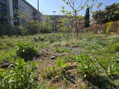 requalification d'un parking en jardin à Aubervilliers au pied de la Maladrerie