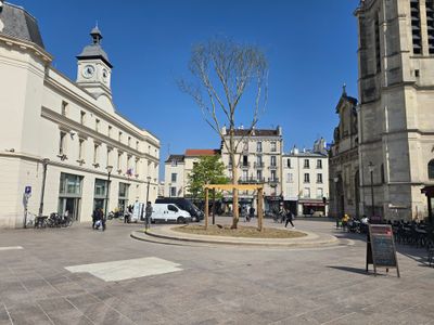 Arbre aux palabres de la mairie d'Aubervilliers