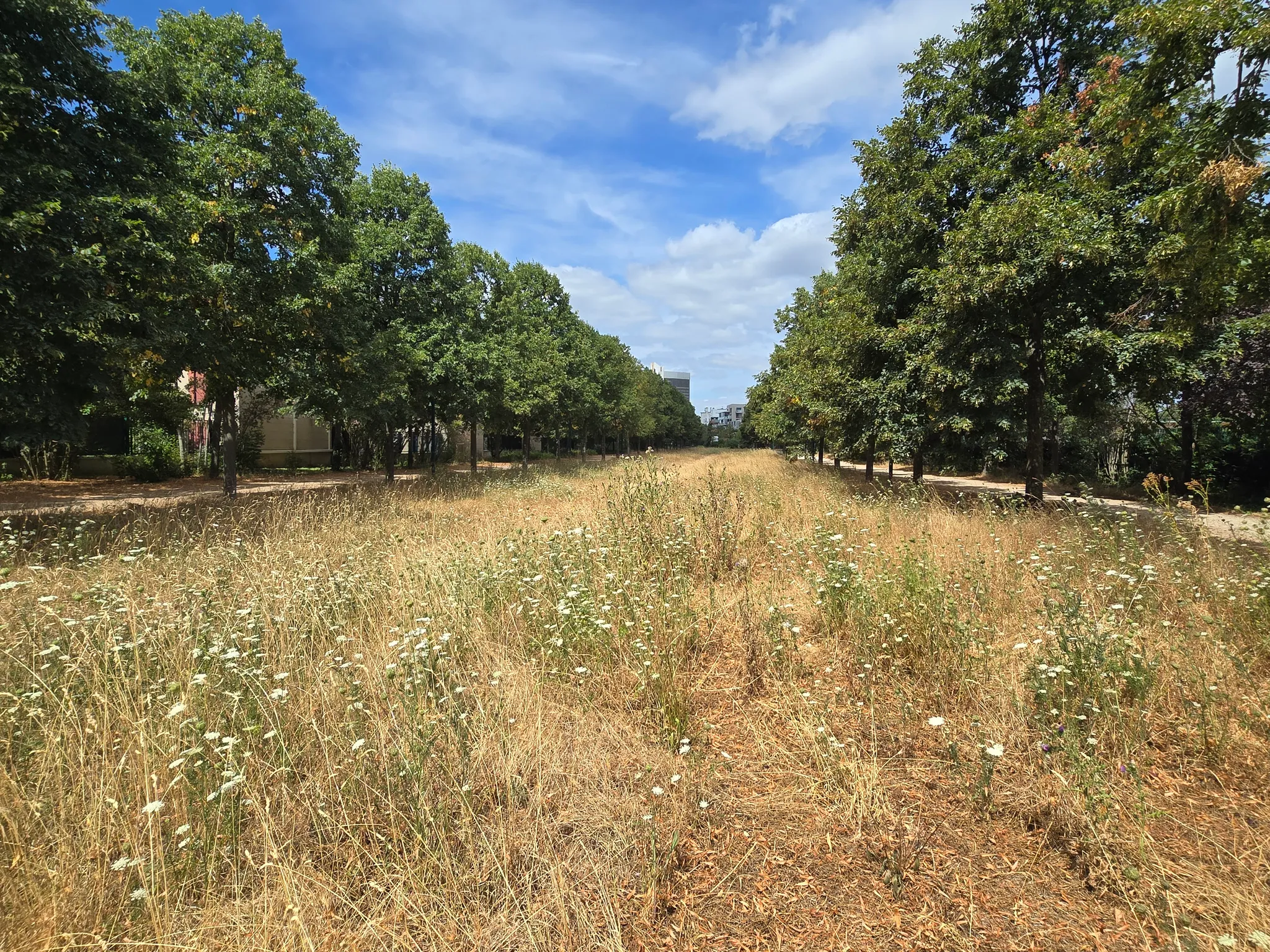 coulée verte Mehdi Ben Barka à Gennevilliers