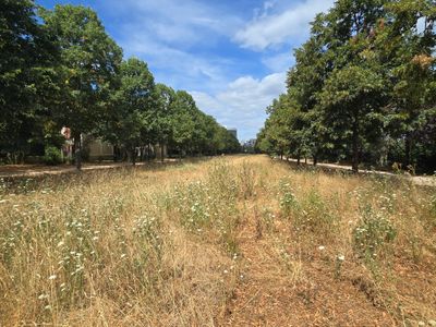 coulée verte Mehdi Ben Barka à Gennevilliers