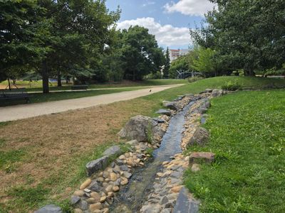 square Camille Ronce à Gennevilliers, rivière artificielle et zone humide