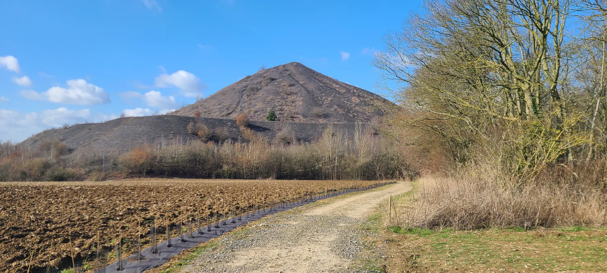 Les terrils d'Haillicourt