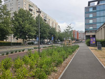 Requalification du boulevard Carnot à Lille