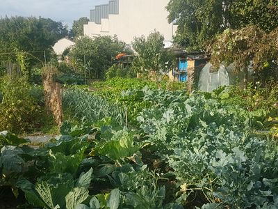 Les jardins du Coeur à Montreuil, structure des restos du Coeur