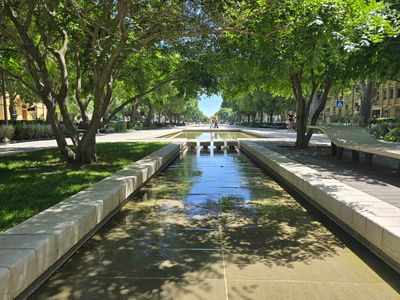 Partie centrale de l'avenue Jean-Jaurès piétonnisée à Nîmes