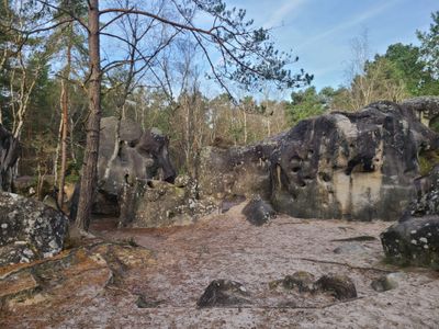 circuit des 25 bosses en forêt de Fontainebleau