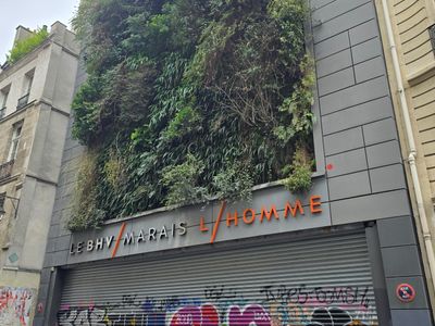 mur végétal du BHV dans le Marais à Paris