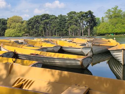 Bois de Boulogne à Paris