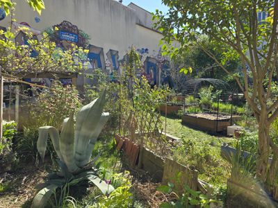 Jardin partagé à Paris