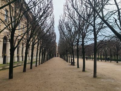jardin du Palais Royal à Paris