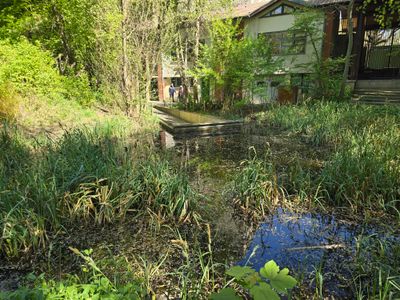 Un écrin de biodiversité au coeur du 20ème à Paris, le Jardin Pierre Emmanuel