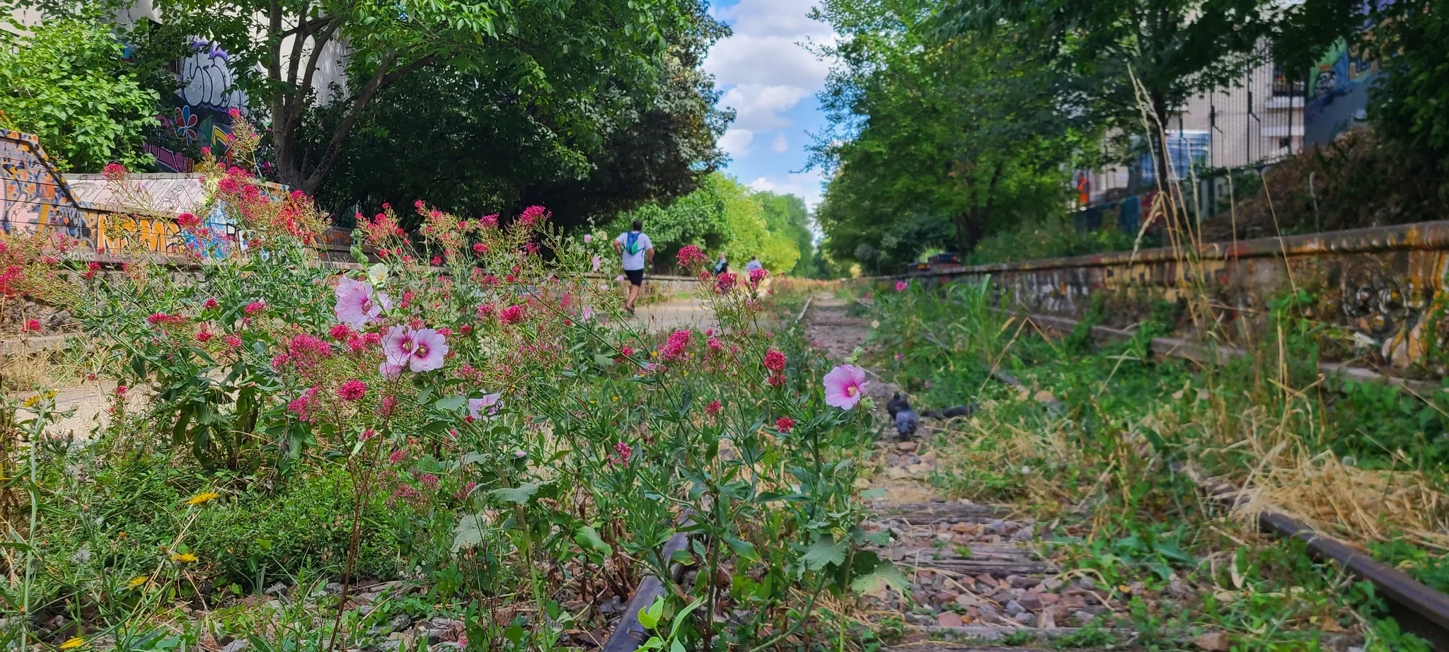 Petite ceinture à Paris