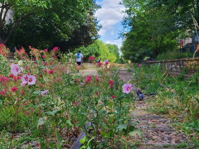 Petite ceinture à Paris