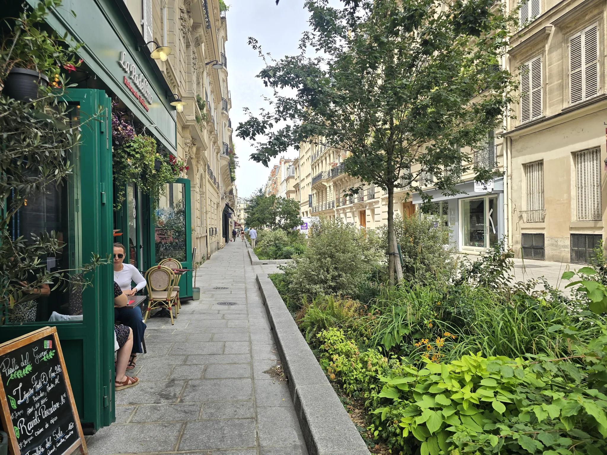 rue aux écoles à Paris, la rue Chaptal