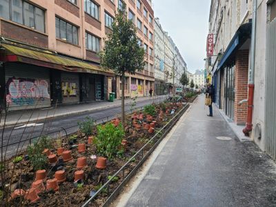 désimperméabilisation dans la rue Marguerite Moret