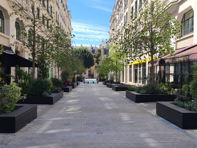 Végétalisation de la voie piétonne Cézanne à Paris