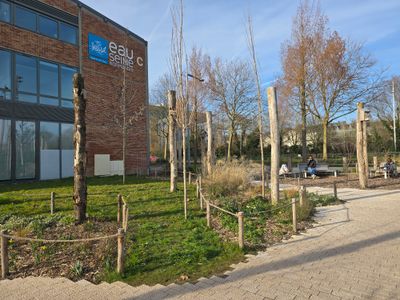 espace de fraîcheur sur la rive droite de Rouen, L'AGORA
