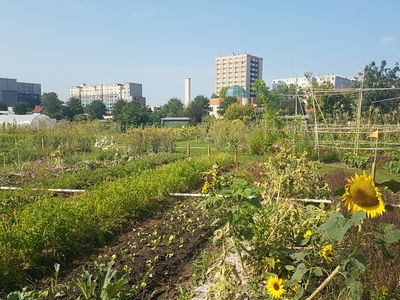 Ferme urbaine à Saint-Denis