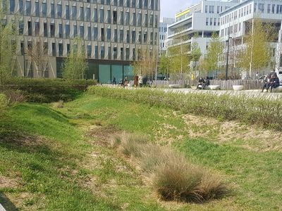 Jardin du Temps des Cerises à Saint-Denis