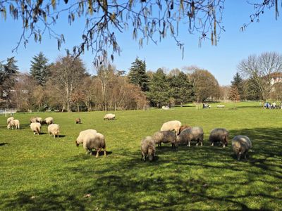 Parc des Chanteraines à Villeneuve-la-Garenne